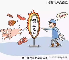 習水豬肉放心購，飼料原料供應穩——解析非洲豬瘟防控下的市場保障